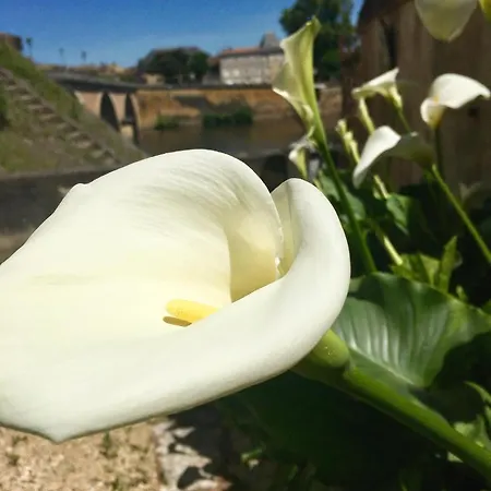 Maison Raphael Kafka * Bergerac